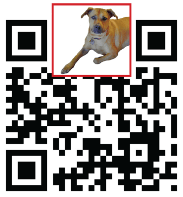 QR Barcodes With Graphics