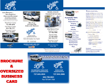 Branding- Brochure & Oversized Business Card Samples